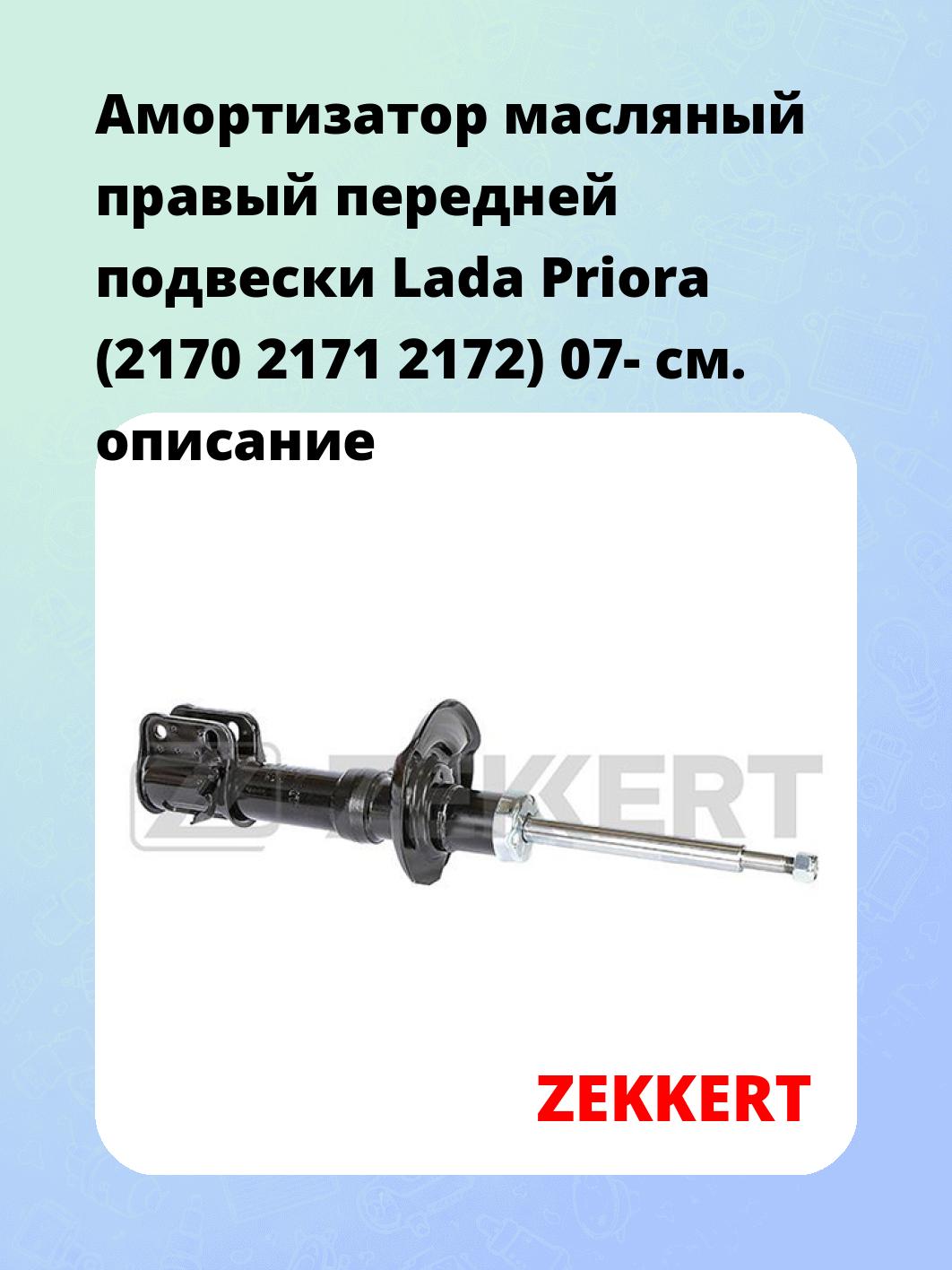 Амортизатор подвески ZEKKERT SO-6173