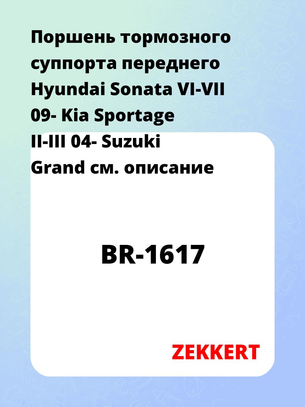 Поршень тормозного суппорта переднего Hyundai Sonata VI-VII 09- Kia Sportage II-III 04- Suzuki Grand