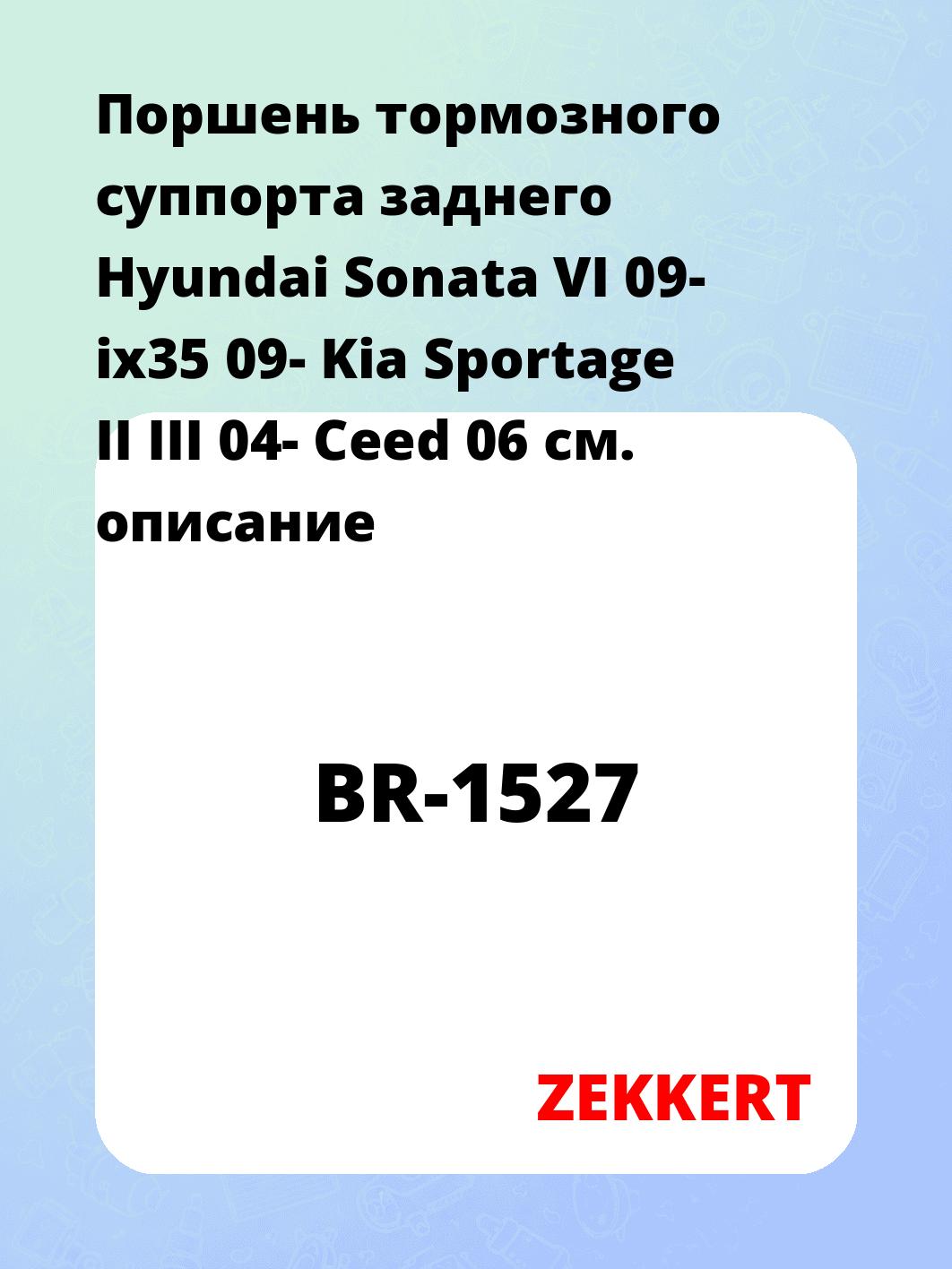 Поршень тормозного суппорта заднего Hyundai Sonata VI 09- ix35 09- Kia Sportage II III 04- Ceed 06