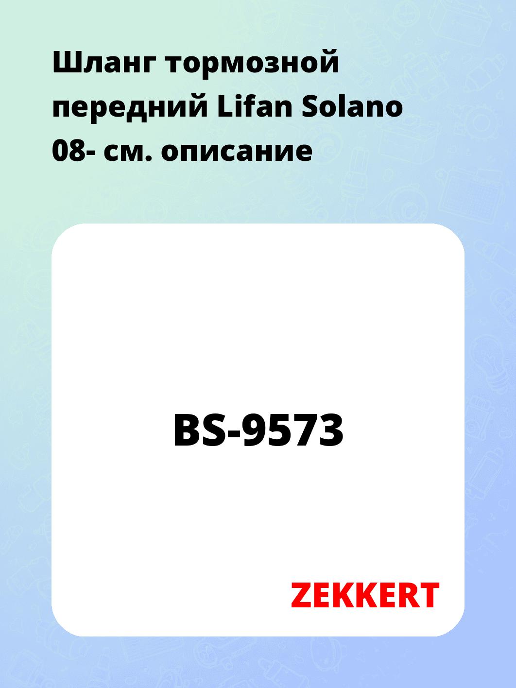 Шланг тормозной для автомобиля ZEKKERT BS-9573