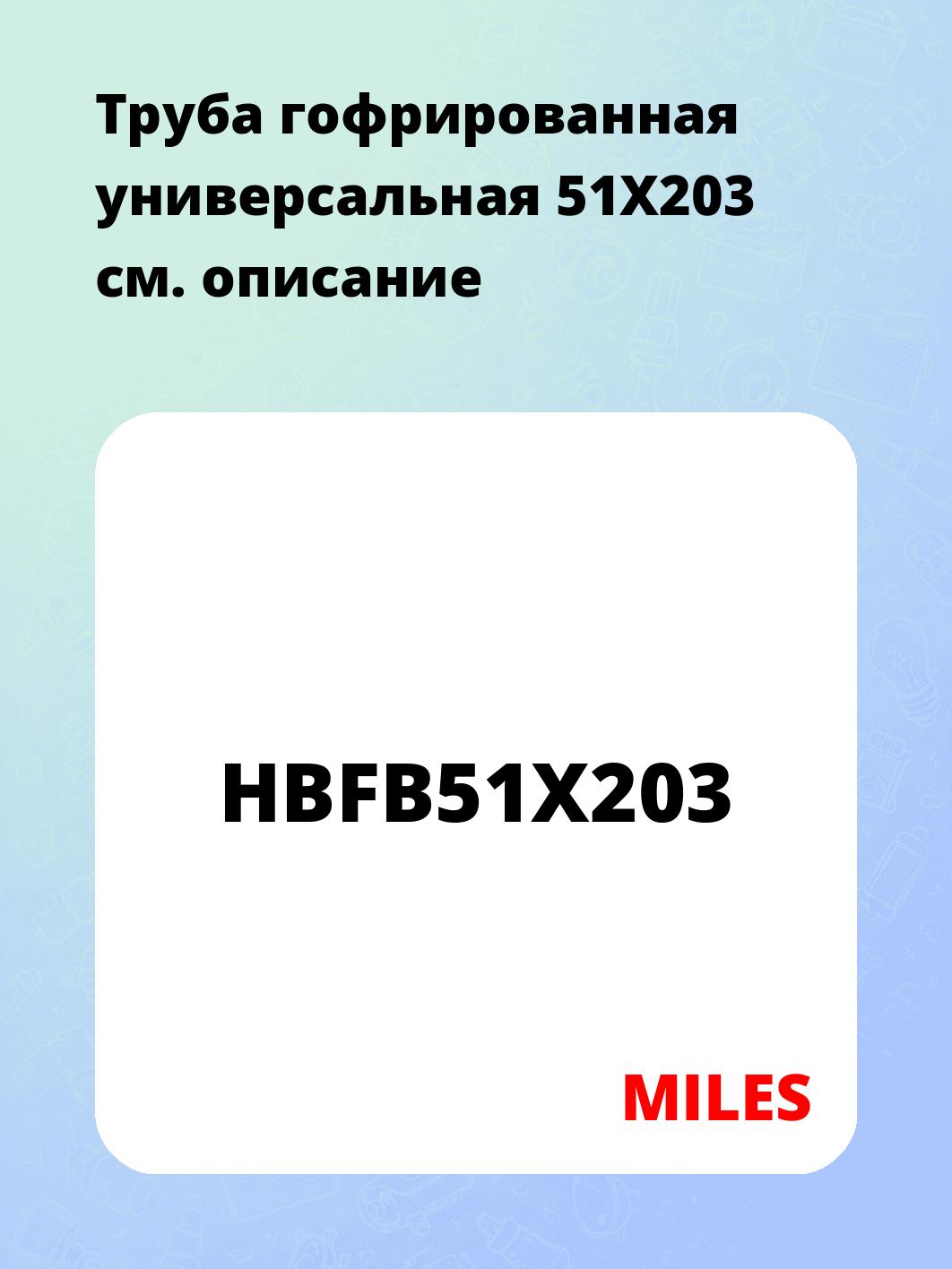 Запчасти MILES HBFB51X203